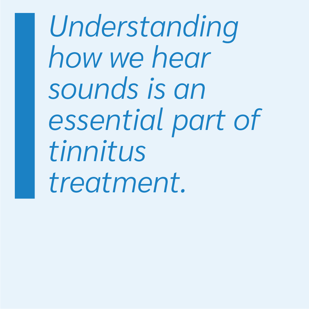 Understanding how we hear sounds is an essential part of tinnitus treatment.