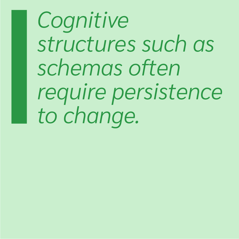 Cognitive structures such as schemas often require persistence to change.