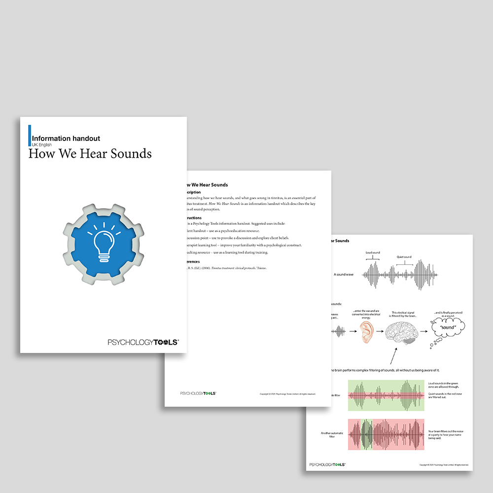 How We Hear Sounds Information Handout (Full resource pack)