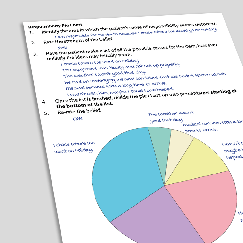 Pie Charts Exercise (angled)