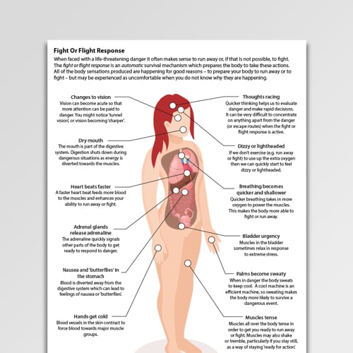 the story of the human body pdf
