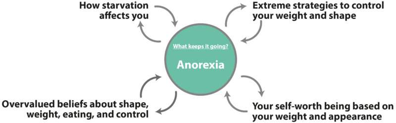 Anorexia Maintenance Diagram