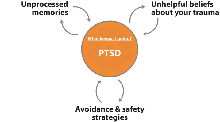 Post-Traumatic Stress Disorder (PTSD) Maintenance Diagram