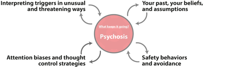Psychosis Maintenance Diagram