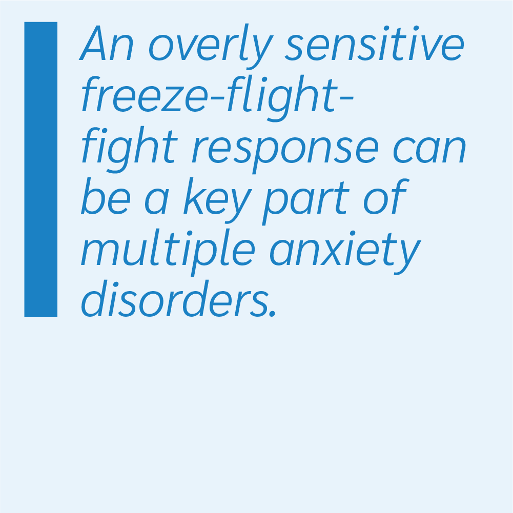 An overly sensitive freeze-flight-fight response can be a key part of multiple anxiety disorders.