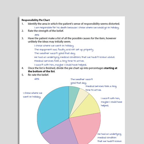 Pie charts CBT worksheet
